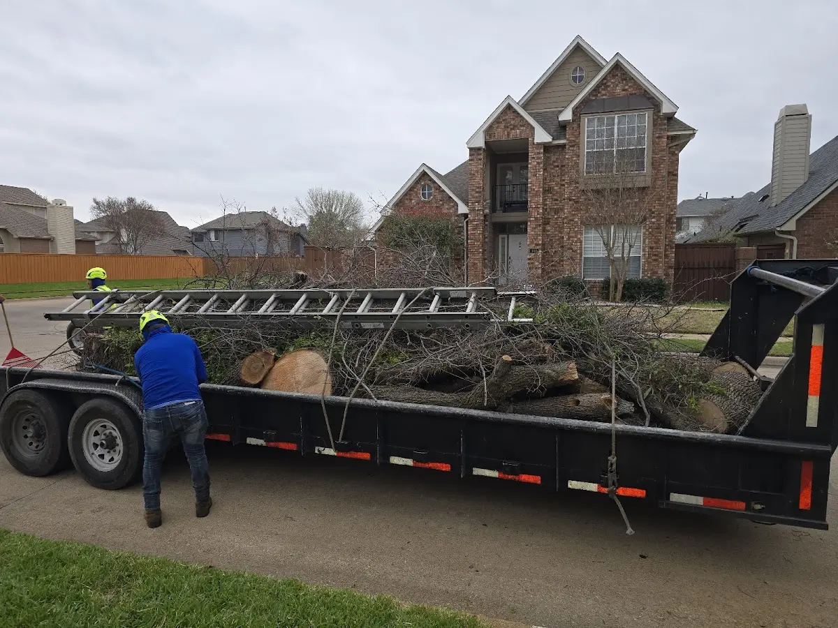 Expert Tree Removal with proper safety equipment in Cedarbluff
